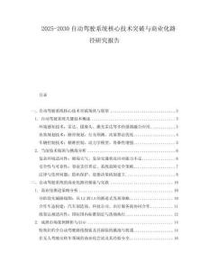 2025-2030自動駕駛系統(tǒng)核心技術(shù)突破與商業(yè)化路徑研究報(bào)告