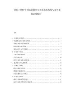 2025-2030中國(guó)氫能源汽車市場(chǎng)供需格局與競(jìng)爭(zhēng)策略研究報(bào)告