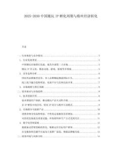2025-2030中國(guó)潮玩IP孵化周期與粉絲經(jīng)濟(jì)轉(zhuǎn)化