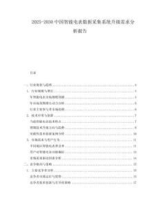 2025-2030中國智能電表數據采集系統升級需求分析報告