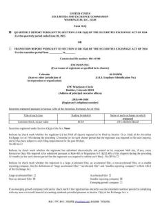 【SEC-2025行業研究報告】Form 10-Q ENCISION INC