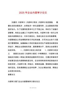 2025年企業(yè)內(nèi)部審計論文