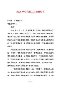 2025年公司員工打架檢討書