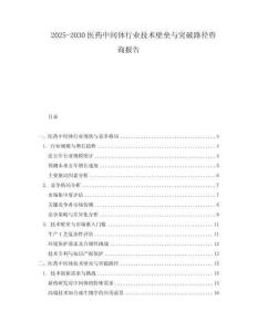 2025-2030醫(yī)藥中間體行業(yè)技術(shù)壁壘與突破路徑咨詢報(bào)告