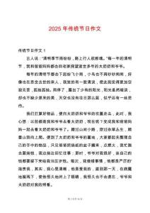 2025年傳統節日作文