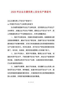 2025年企業(yè)主要負責(zé)人安全生產(chǎn)承諾書