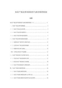知識產權法律風險防控與損害賠償機制