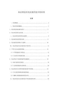 私法理念在民法現代化中的應用