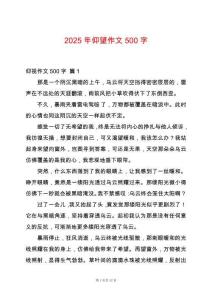 2025年仰望作文500字