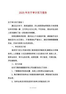 2025年關(guān)于審計實(shí)習(xí)報告