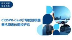 CRISPR-Cas9介導(dǎo)的結(jié)核菌素抗原表位調(diào)控研究-洞察及研究