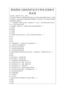 版權(quán)授權(quán)與版權(quán)保護(hù)技術(shù)專利布局策略考核試卷