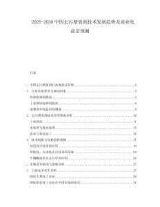 2025-2030中國去污增效劑技術(shù)發(fā)展趨勢及商業(yè)化前景預(yù)測