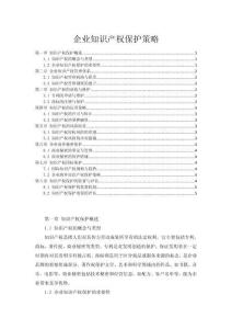 企業(yè)知識(shí)產(chǎn)權(quán)保護(hù)策略
