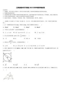 江西省贛州市于都縣2025年中考數(shù)學(xué)模試卷含解析
