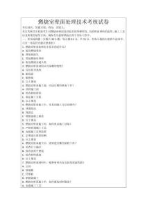 燃燒室壁面處理技術(shù)考核試卷