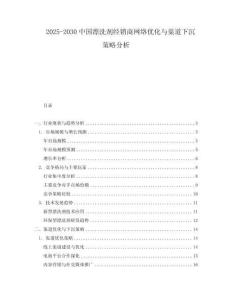 2025-2030中國漂洗劑經銷商網絡優化與渠道下沉策略分析