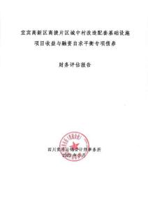 宜賓高新區(qū)高捷片區(qū)城中村改造配套基礎(chǔ)設(shè)施項(xiàng)目-財(cái)務(wù)評(píng)估報(bào)告