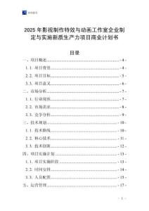 2025年影視制作特效與動(dòng)畫工作室企業(yè)制定與實(shí)施新質(zhì)生產(chǎn)力項(xiàng)目商業(yè)計(jì)劃書