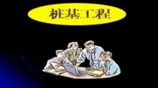 【樁基礎(chǔ)施工技術(shù)】樁基礎(chǔ)概述
