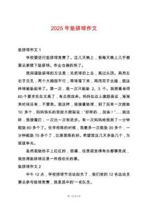 2025年墊排球作文
