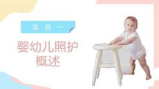 嬰幼兒照護(hù)理論與實(shí)踐：嬰幼兒照護(hù)概述PPT教學(xué)課件