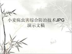 小麥病蟲害綜合防治技術JPG