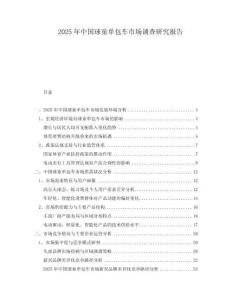 2025年中國球童單包車市場調(diào)查研究報告