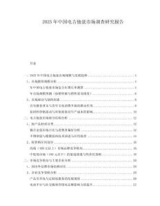 2025年中國電吉他弦市場調查研究報告