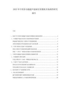 2025年中國多功能超聲波碌牙折膜機(jī)市場(chǎng)調(diào)查研究報(bào)告