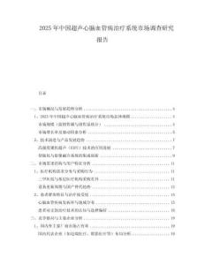 2025年中國超聲心腦血管病治療系統市場調查研究報告