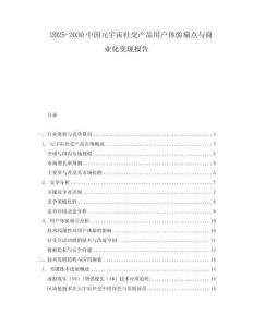 2025-2030中國元宇宙社交產(chǎn)品用戶體驗(yàn)痛點(diǎn)與商業(yè)化變現(xiàn)報(bào)告
