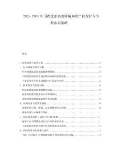 2025-2030中國(guó)漂洗添加劑跨境知識(shí)產(chǎn)權(quán)保護(hù)與專(zhuān)利布局策略