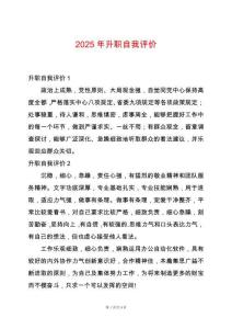 2025年升職自我評價