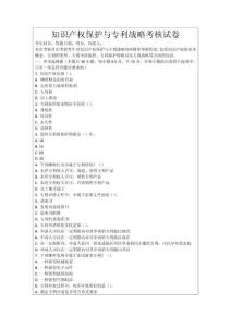 知識產(chǎn)權(quán)保護與專利戰(zhàn)略考核試卷