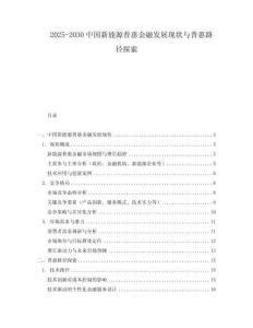 2025-2030中國新能源普惠金融發展現狀與普惠路徑探索