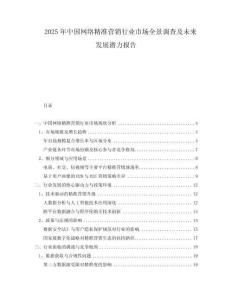 2025年中國網(wǎng)絡(luò)精準(zhǔn)營銷行業(yè)市場全景調(diào)查及未來發(fā)展?jié)摿?bào)告