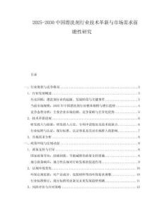 2025-2030中國漂洗劑行業(yè)技術革新與市場需求前瞻性研究