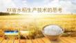 水稻生產(chǎn)技術(shù)的思考
