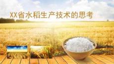 水稻生產(chǎn)技術的思考