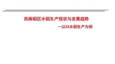 西南稻區(qū)水稻生產(chǎn)現(xiàn)狀與發(fā)展趨勢
