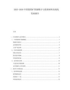 2025-2030中國菱鎂礦資源整合與鎂質(zhì)材料高端化發(fā)展報(bào)告