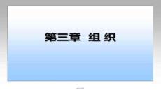 【施工組織設(shè)計(jì)范例】第三章_組織