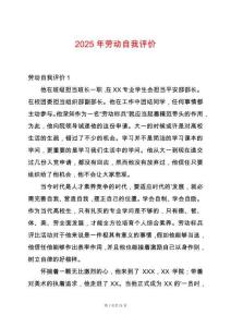2025年勞動自我評價