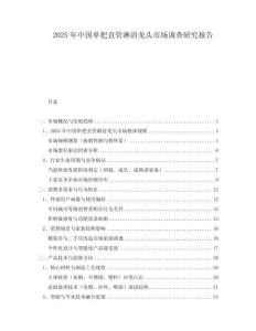 2025年中國單把直管淋浴龍頭市場調查研究報告