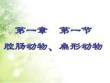 (新)人教版八年級生物上冊5.1.1《腔腸動物和扁形動物》...153