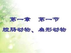 (新)人教版八年級生物上冊5.1.1《腔腸動物和扁形動物》...153