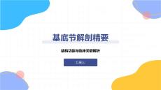 基底節解剖精要