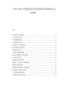 2025-2030中國漂洗化學品品牌溢價形成機制與定價策略