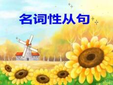 2026年中考英語(yǔ)一輪語(yǔ)法復(fù)習(xí)+名詞性從句課件